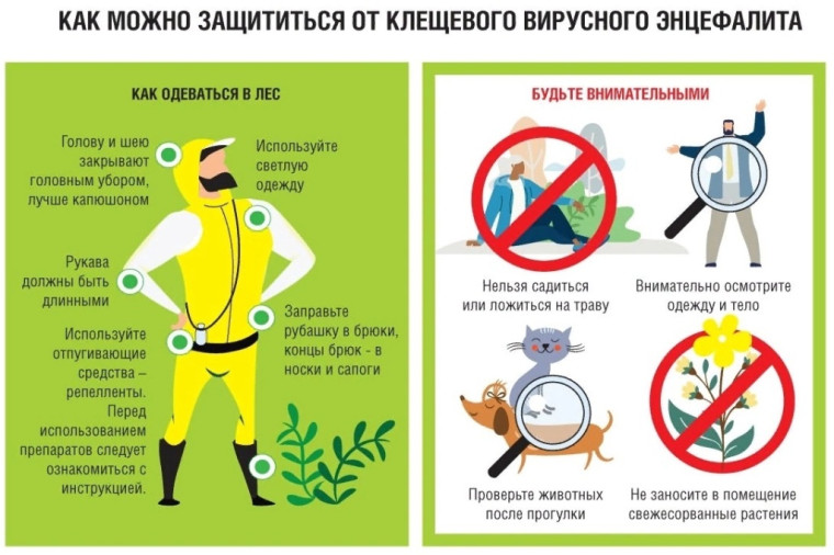 Консультирование граждан по вопросам профилактики клещевого энцефалита..
